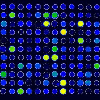 Mad Platine 2385bcf3