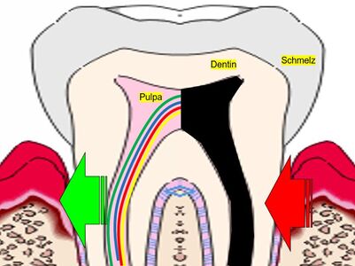 Endo Kreislauf Schema Bd6c4792