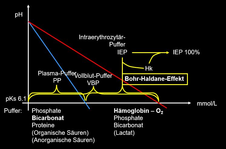 Vbt Schema